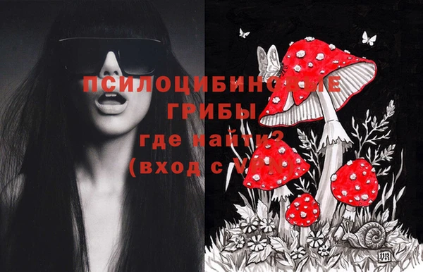 mdpv Алзамай