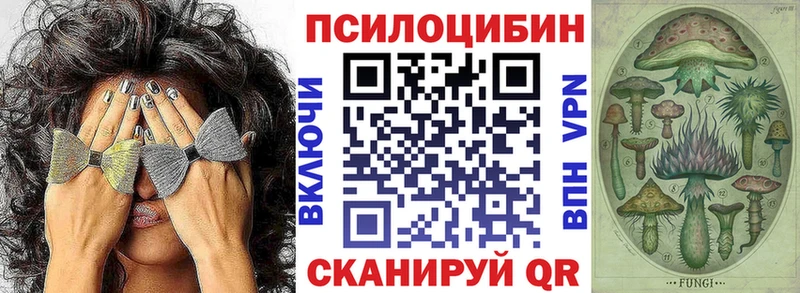 Псилоцибиновые грибы Psilocybe Солигалич
